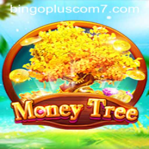 Discover the Excitement of MoneyTree on Bingoplus Com